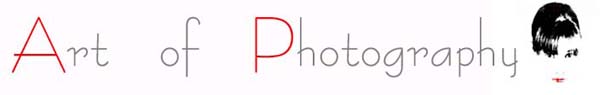 Art of Photography